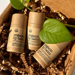 Organic lip balm tubes in brown paper packaging with green leaf and shredded paper filler