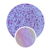 Pressed multichrome eyeshadow pan with shimmery duochrome finish shifting between vibrant hues