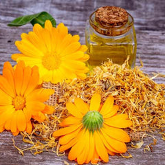Calendula flowers with bright orange petals and dried herbs on wood surface with glass jar