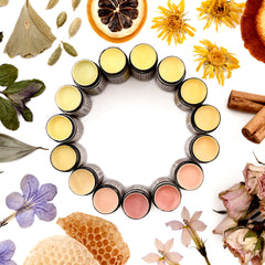 Lip balms in black containers with yellow, peach, and pink colors, surrounded by dried flowers and spices on white background