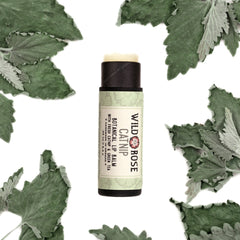 Lip balm tube with black and green label, surrounded by green leaves, Wild Rose brand visible