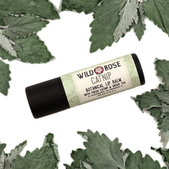 Lip balm with black tube and Wild Rose label, surrounded by green leaves on white background