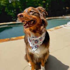 Close-up of rich brown eye shadow palette with smooth matte finish and gradient color tones