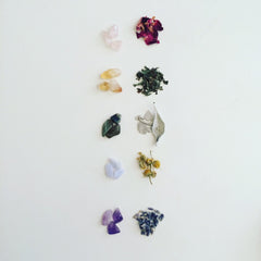 Crystals and botanicals: pink, yellow, blue, and purple stones with dried flowers and herbs on white background