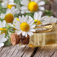 Chamomile flowers with white petals, yellow center, and glass bottle with cork stopper on wood surface