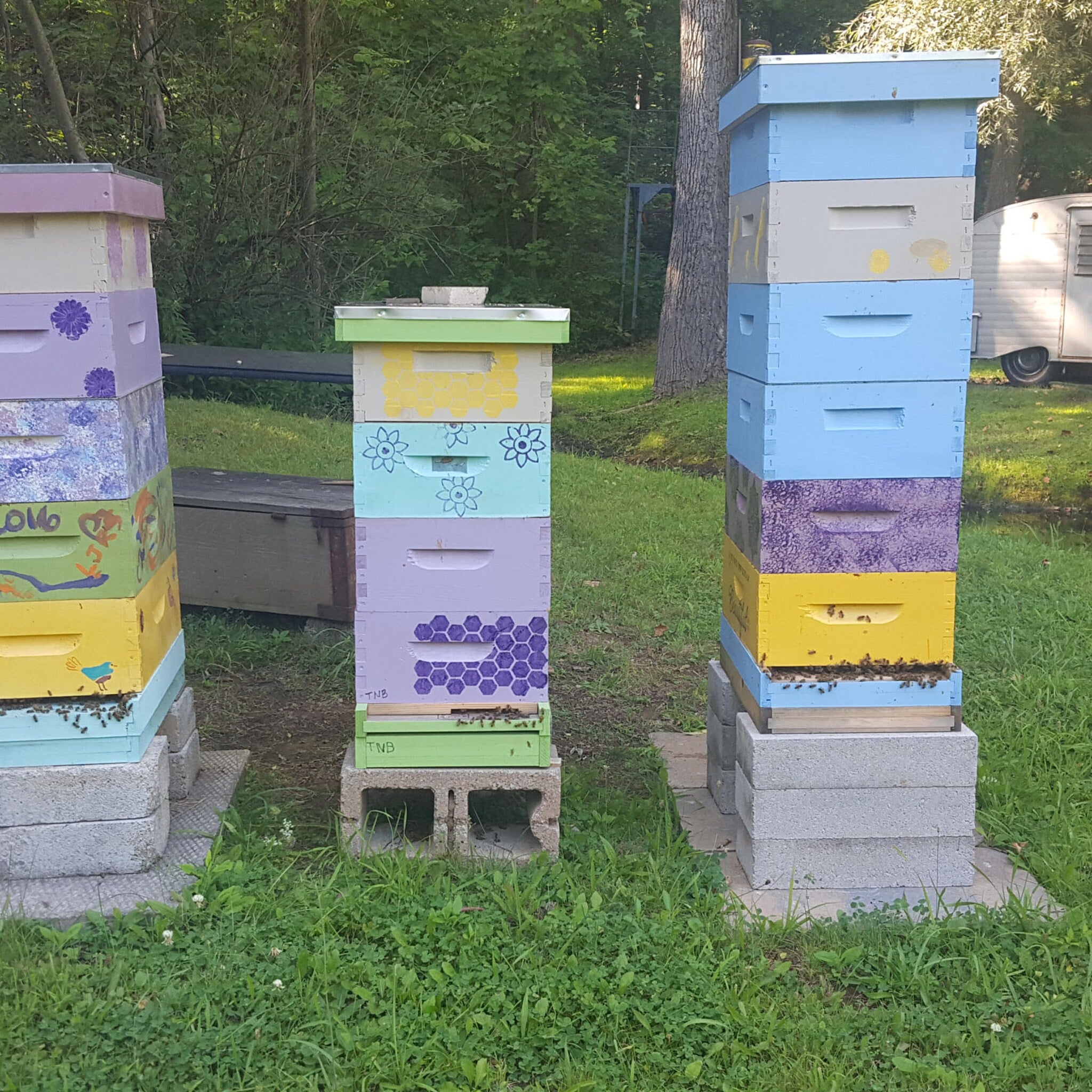 Beehives, colorful wood boxes with floral patterns and bees, stacked on cinder blocks in a yard