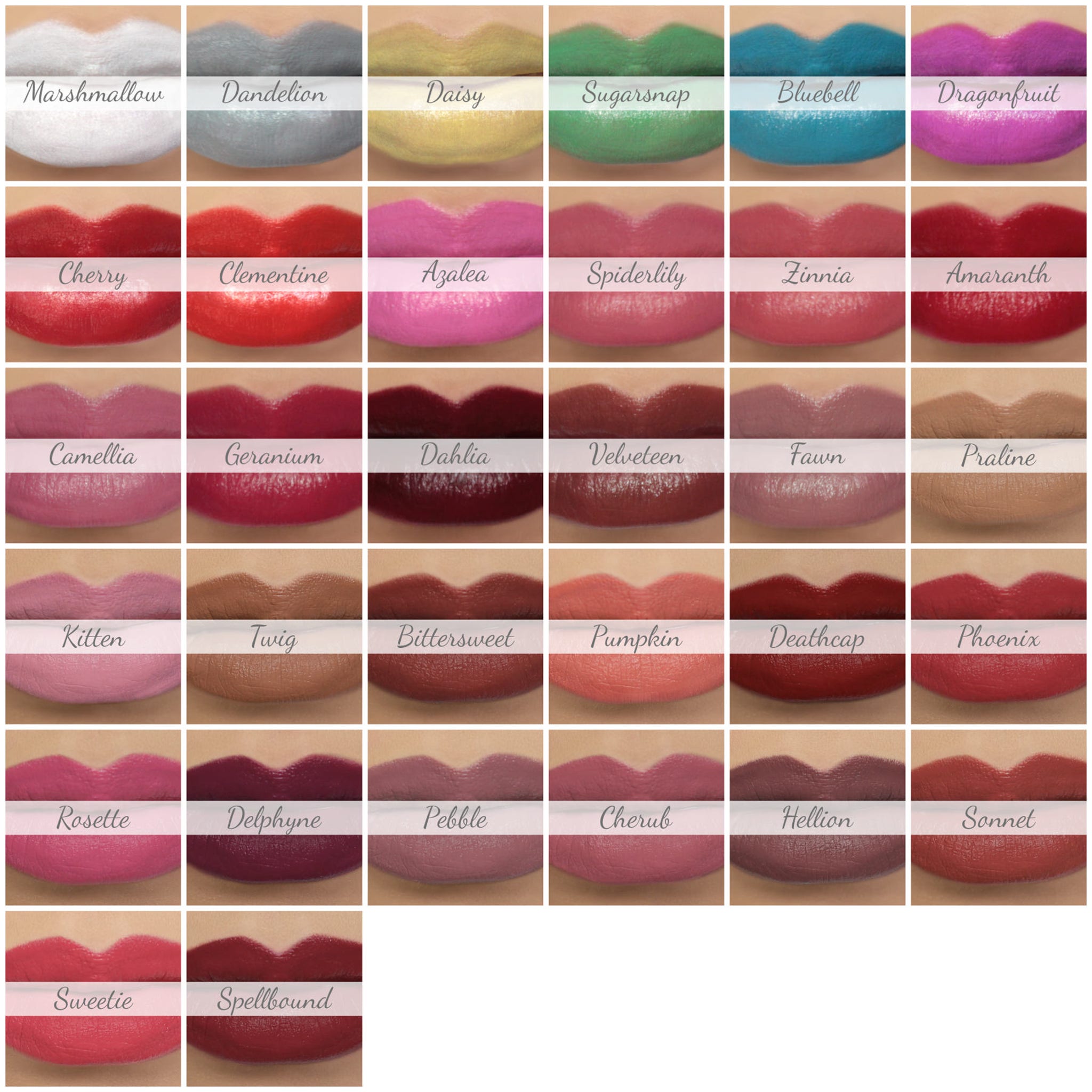 Lipstick swatches, various colors, matte finish, shown on lips for color comparison