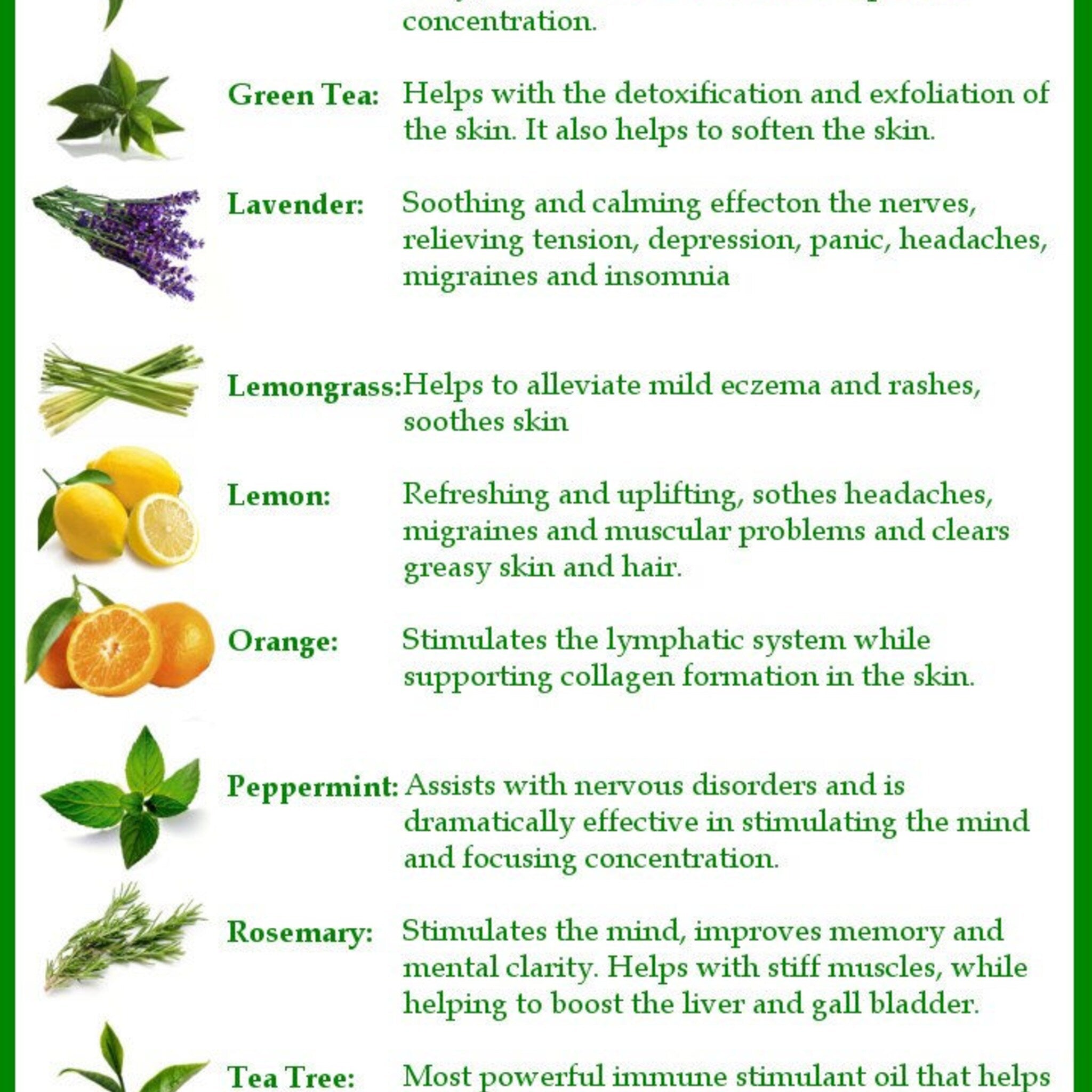 Green tea leaves with green color, shown with text about health benefits