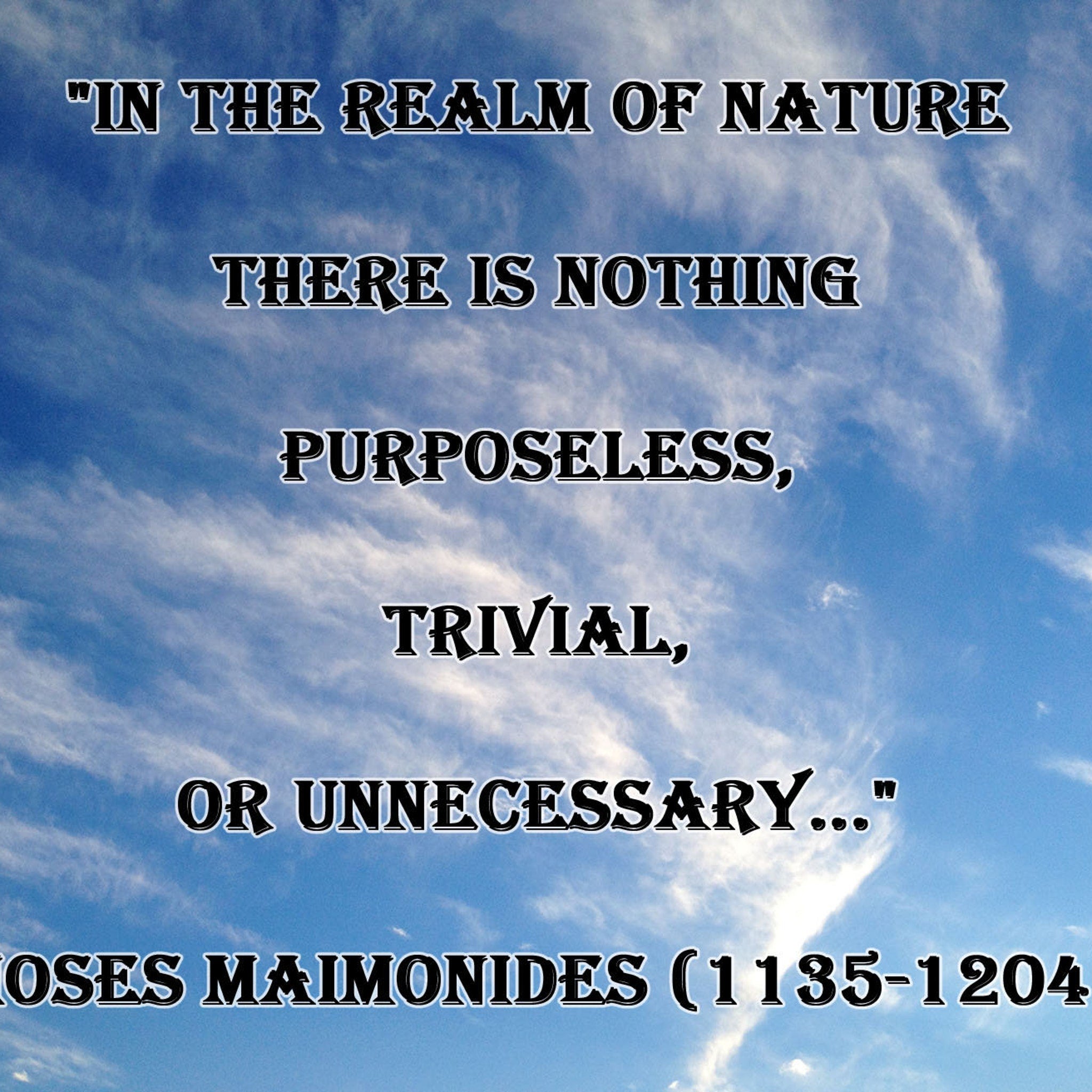 Quote graphic with blue sky background, white clouds, and black text with white outline, Moses Maimonides quote