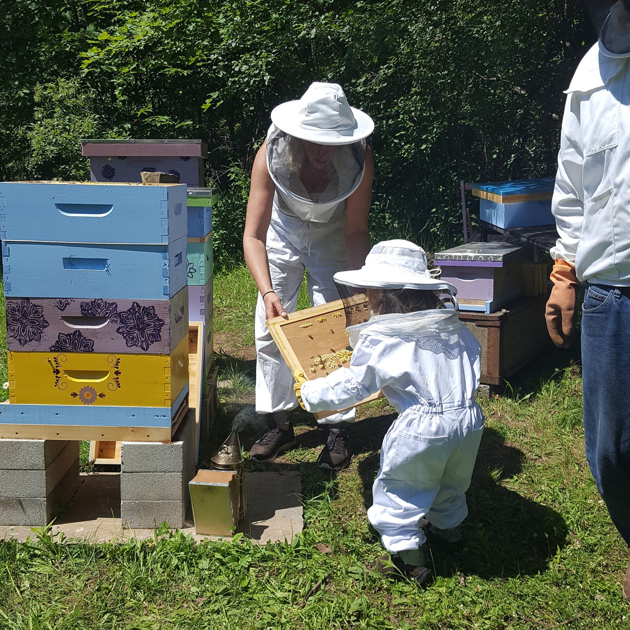 Beehives with blue, purple, and yellow painted boxes, floral patterns, and wooden frames, in a garden setting