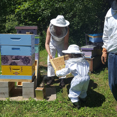 Beehives with blue, purple, and yellow painted boxes, floral patterns, and wooden frames, in a garden setting