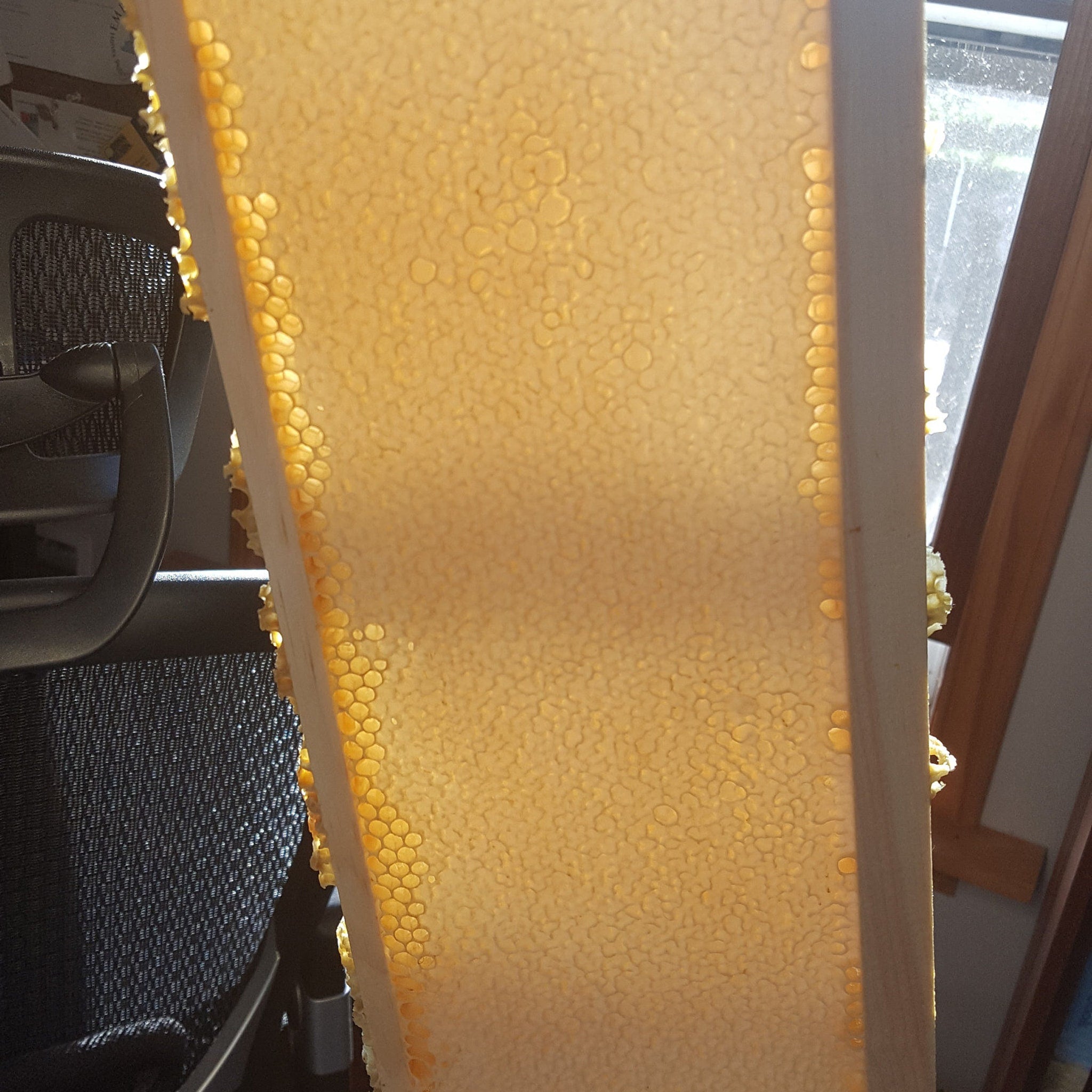 Honeycomb frame with yellow hexagonal cells, wooden frame, and visible light passing through