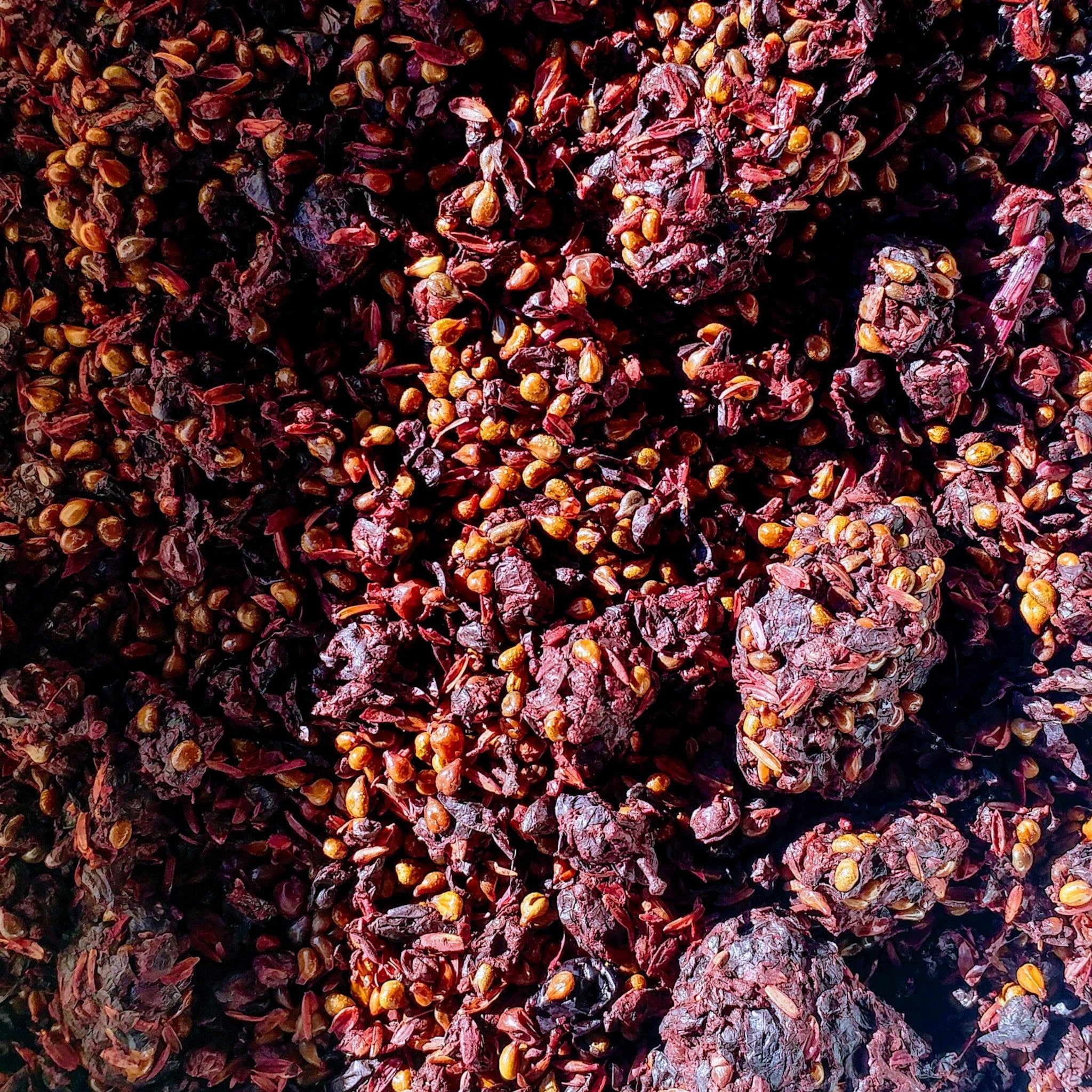 Dried fruit pieces with reddish-brown color, small seeds, and textured surface in close-up view