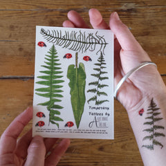 Usage example of Alice Draws The Line Fern  Bracken Tattoos  Illustrated Skin Adornments