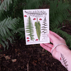 Main product view of Alice Draws The Line Fern  Bracken Tattoos  Illustrated Skin Adornments