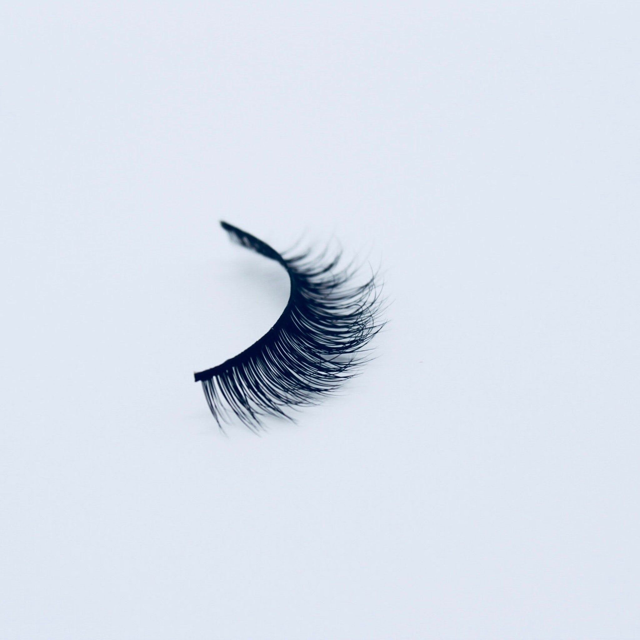 False eyelash, black synthetic lash with curved style on white background