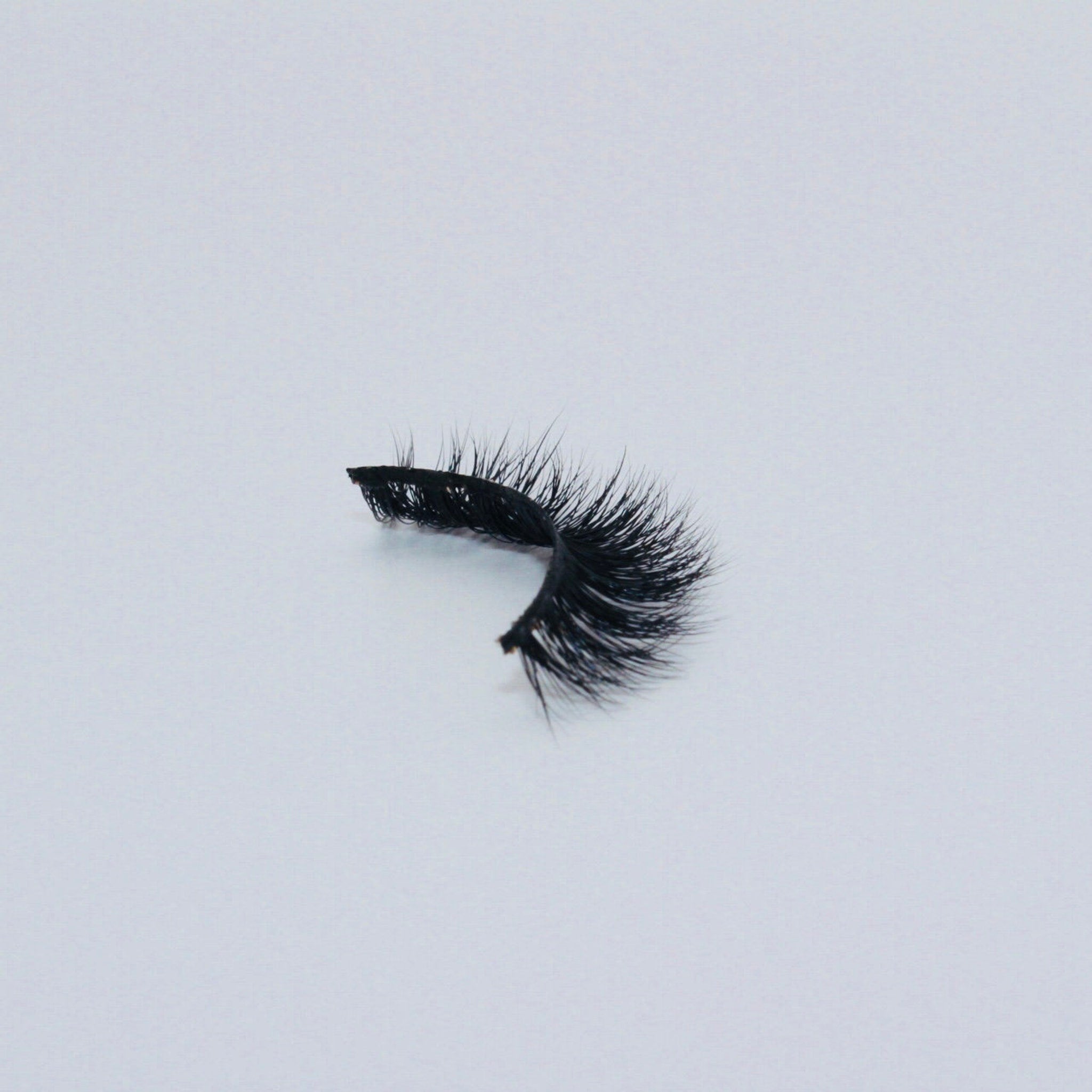 False eyelashes with black synthetic fibers and curved style on white background