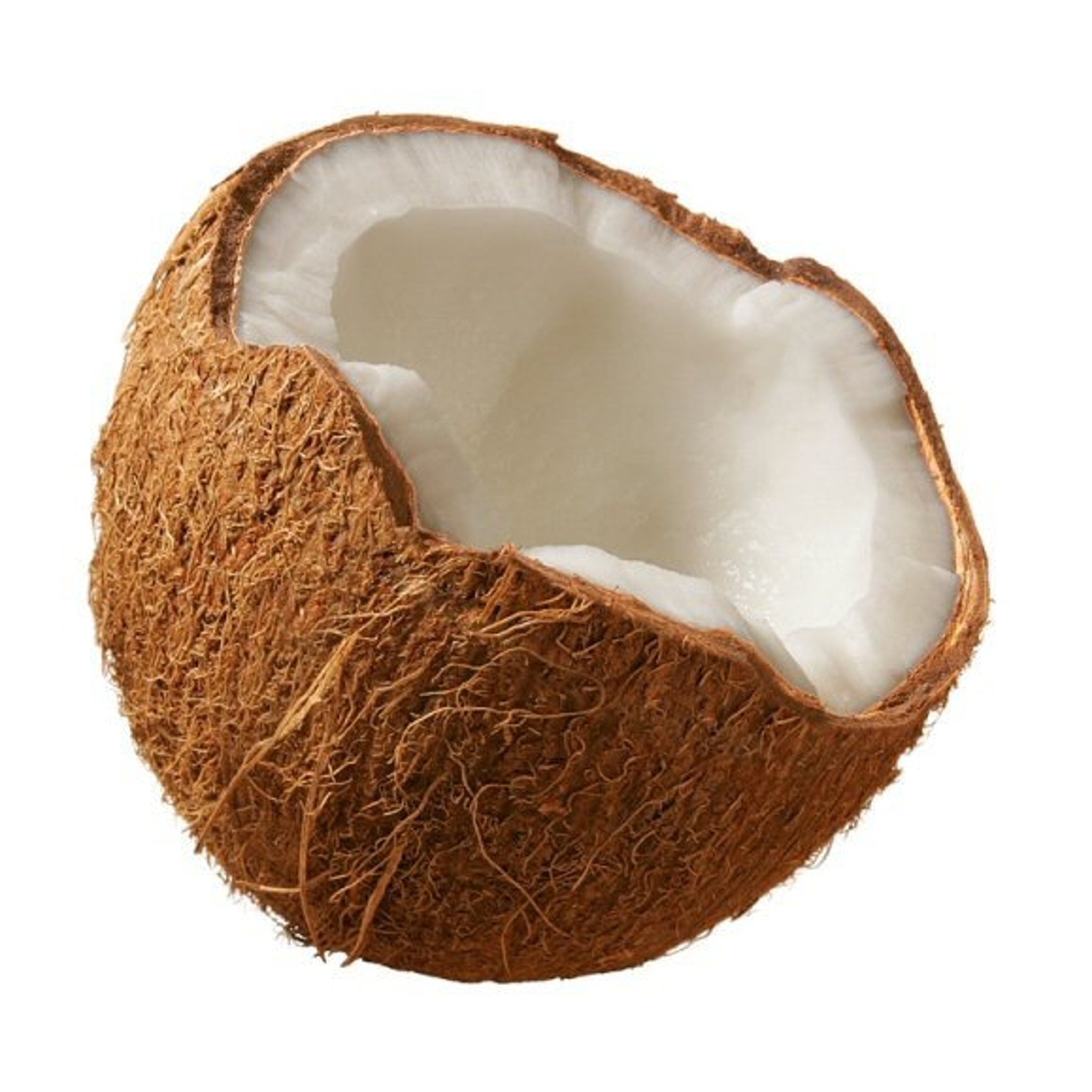 Coconut half with brown husk, white flesh, and rough texture
