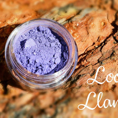 Small glass jar of Loot Llama pigmented mineral eyeshadow with sifter lid in vibrant multicolor shimmery powder