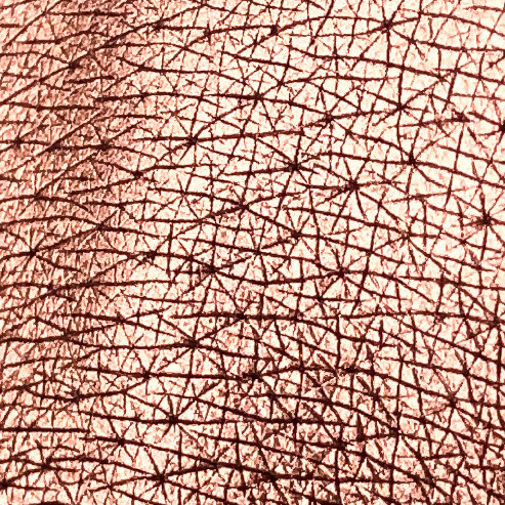 Close-up of Tala Gingerbread BR7 Eye Shadow Pigment in warm bronze shade with metallic finish, housed in small black jar