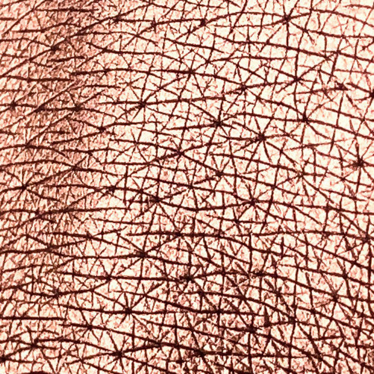 Close-up of Tala Gingerbread BR7 Eye Shadow Pigment in warm bronze shade with metallic finish, housed in small black jar
