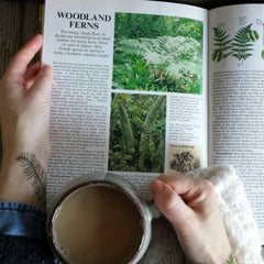 Detailed close-up of Alice Draws The Line Fern  Bracken Tattoos  Illustrated Skin Adornments