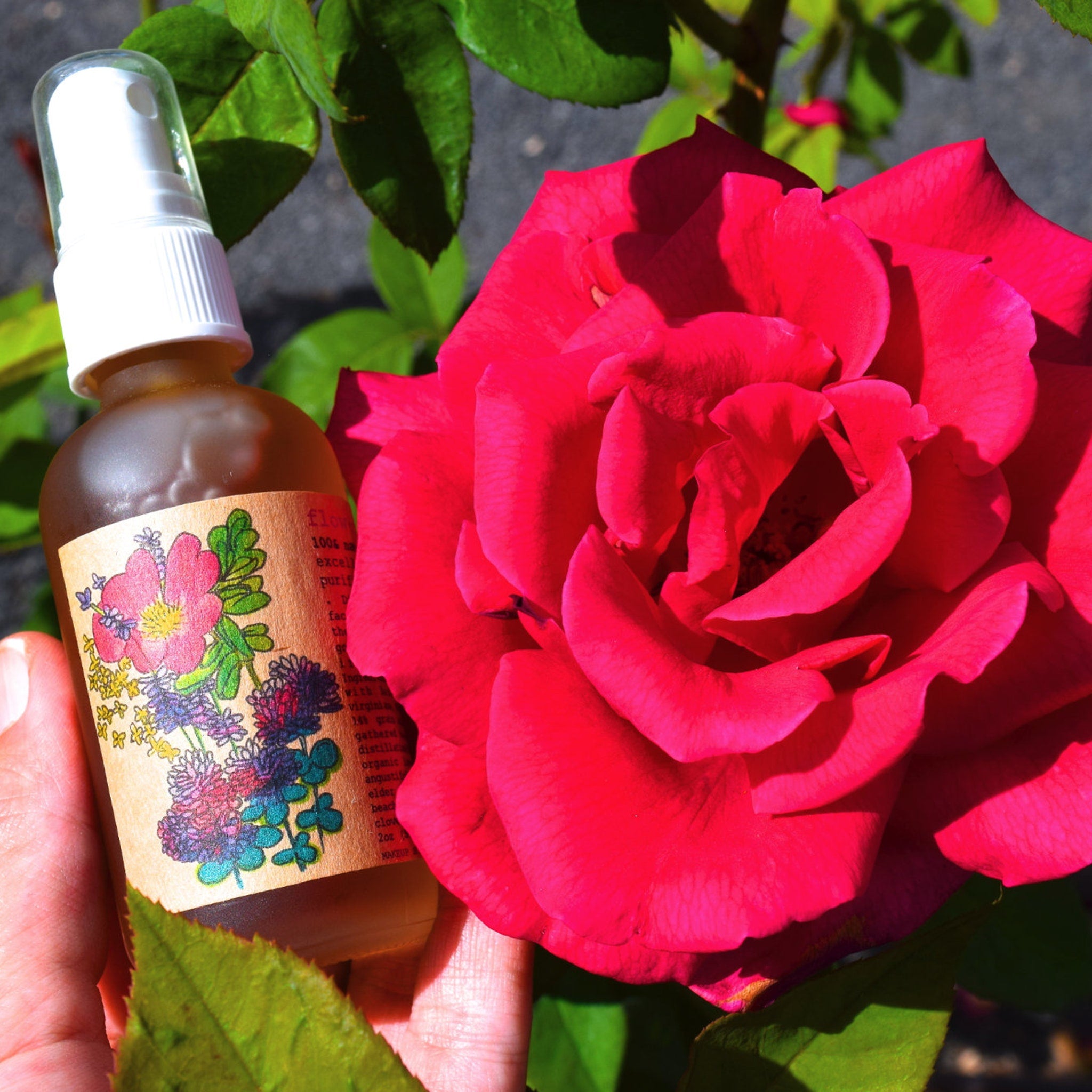 Spray bottle with white cap and brown glass, floral label, held by hand next to red rose