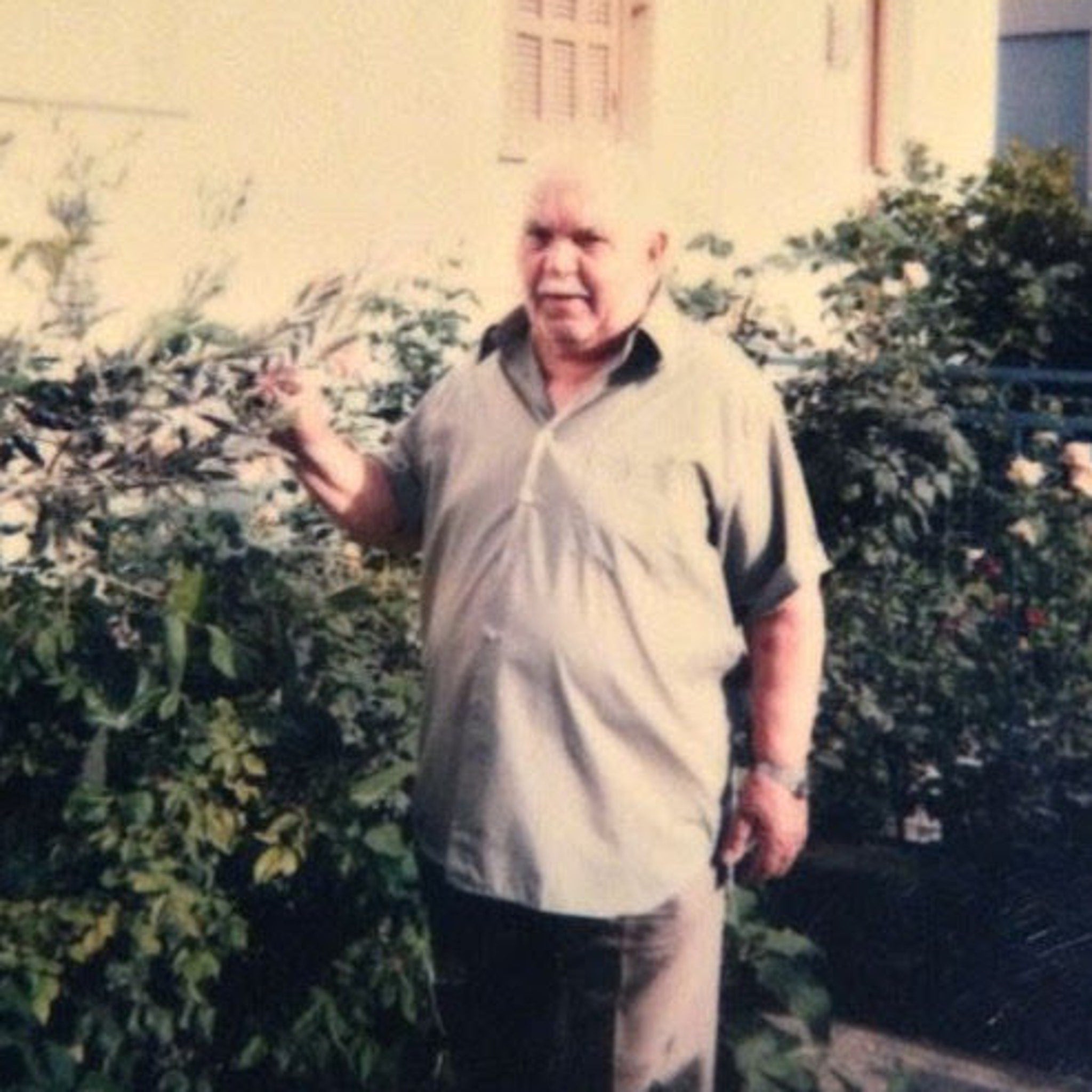 Man wearing light green collared shirt and brown pants standing near green foliage