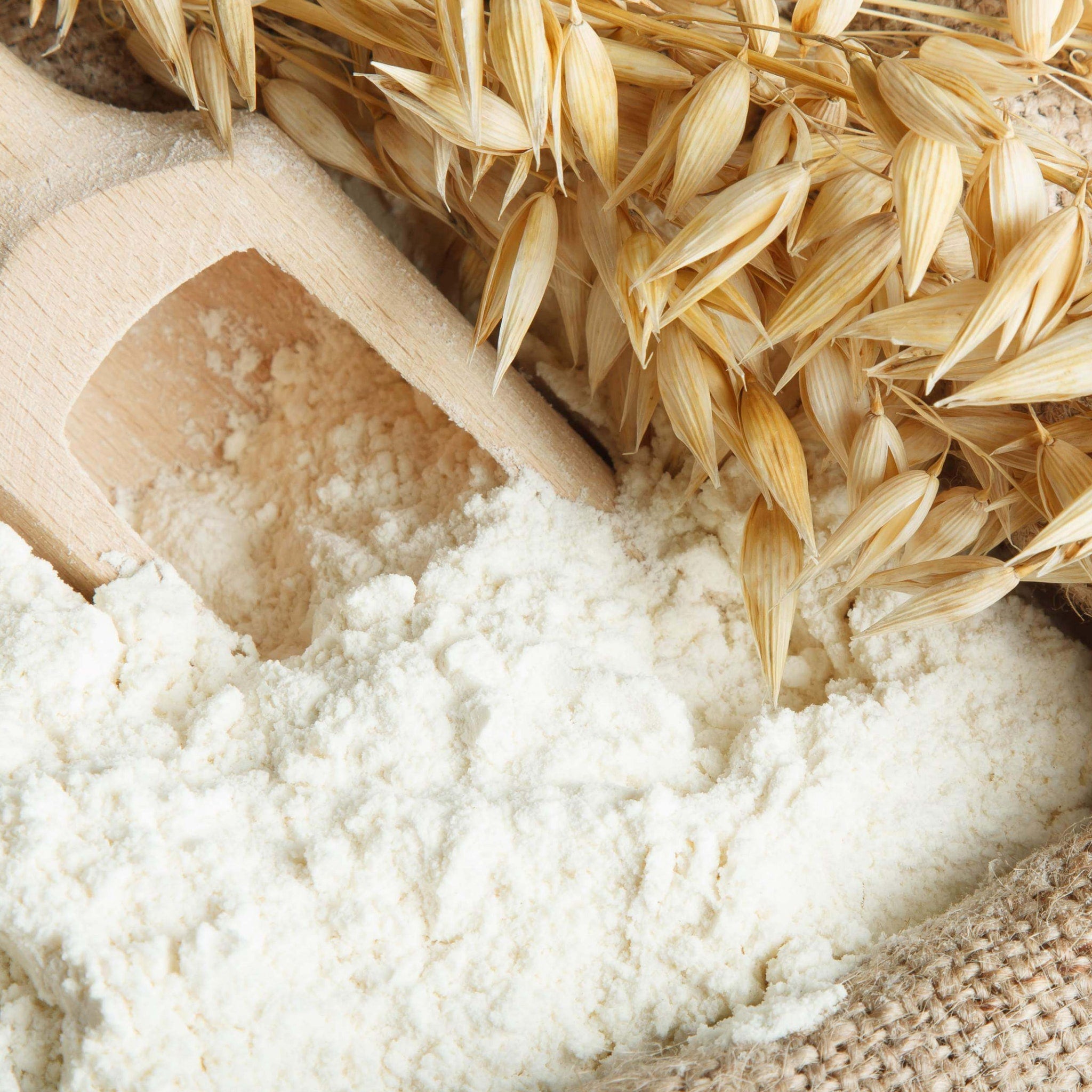 Flour with white powder, wooden scoop, and beige grains on burlap sack