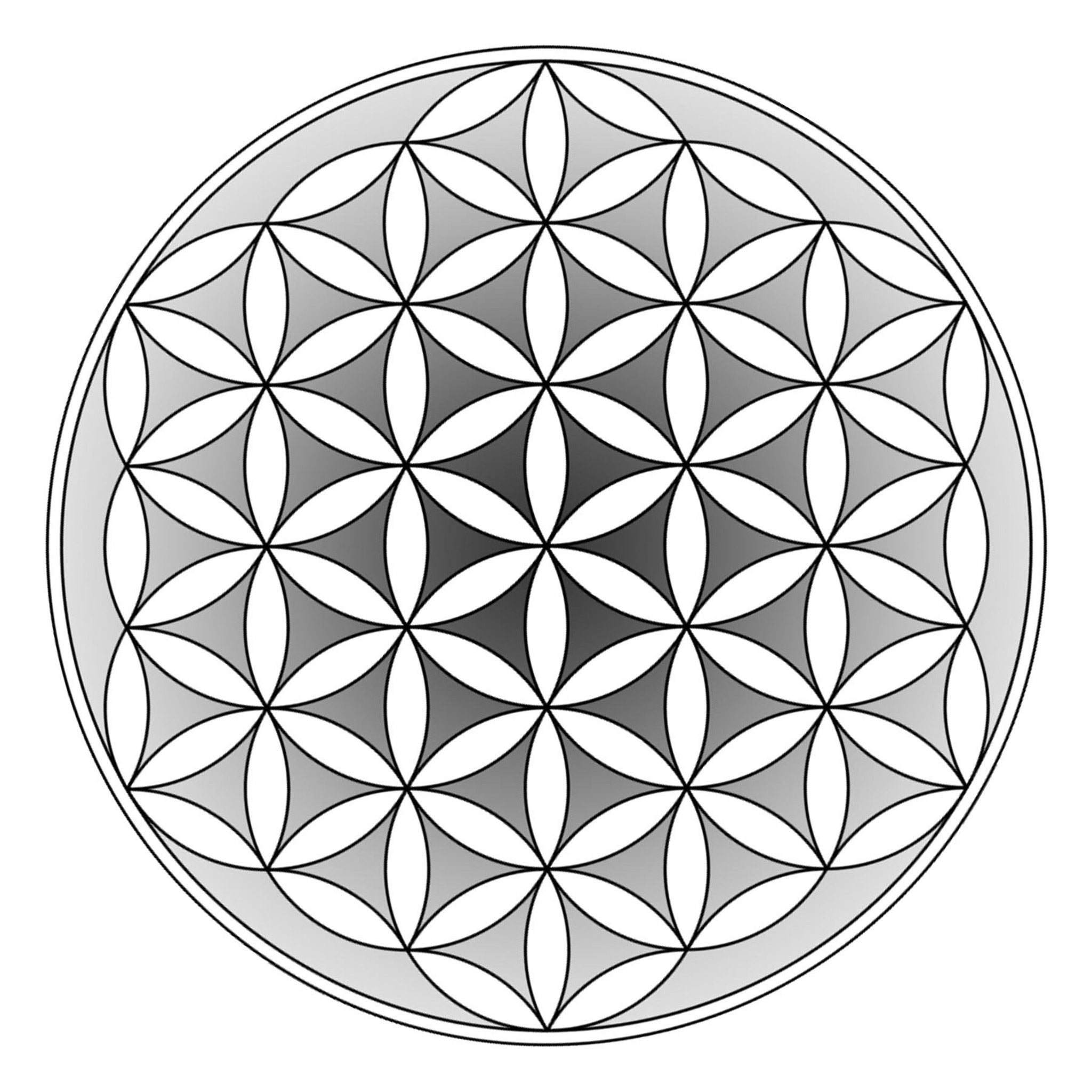Geometric pattern with black outlines, grayscale gradient, and circular shape design