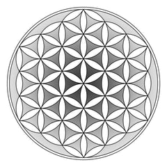 Geometric pattern with black outlines, grayscale gradient, and circular shape design