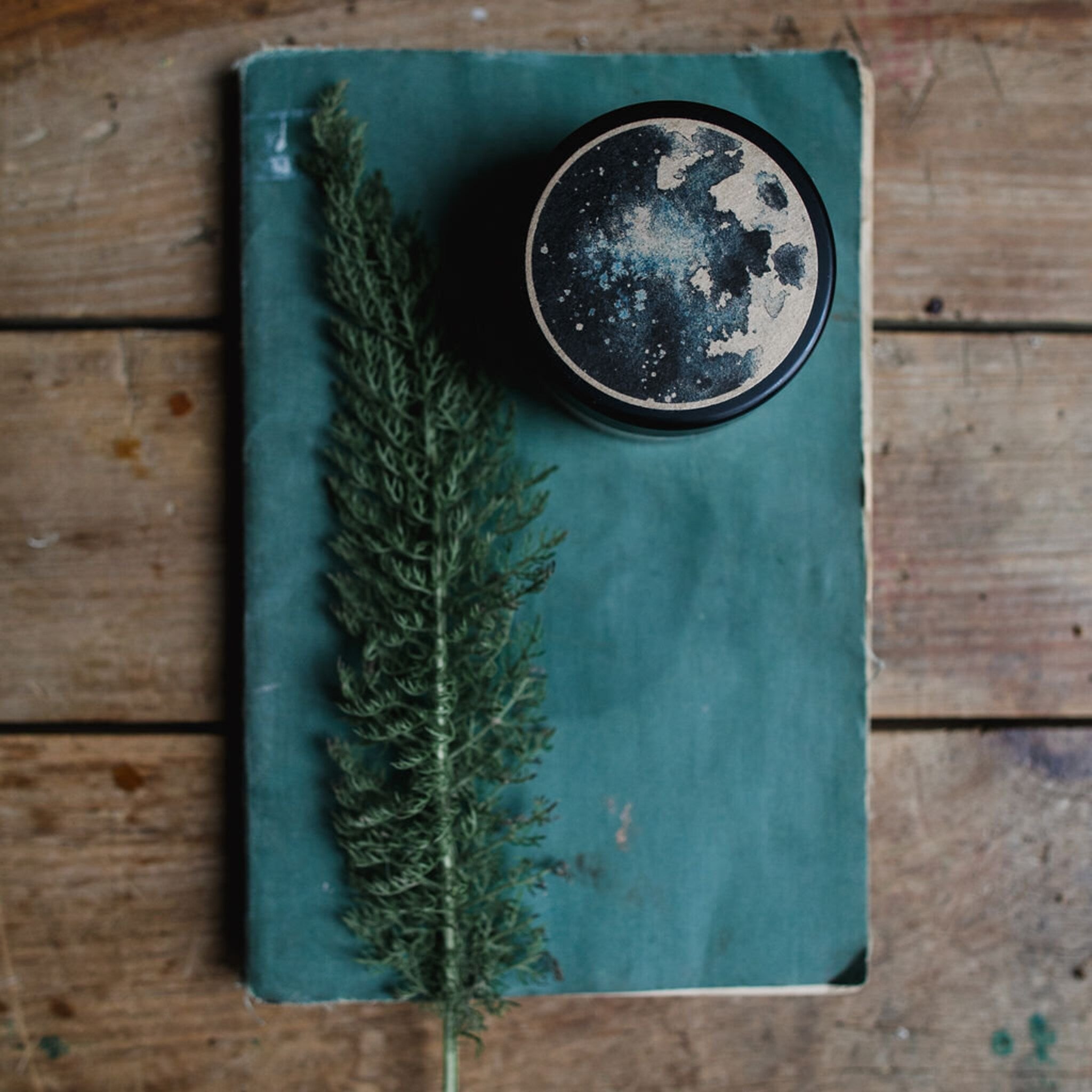 Jar with moon design, black and white lid, teal background, and green plant on wood surface