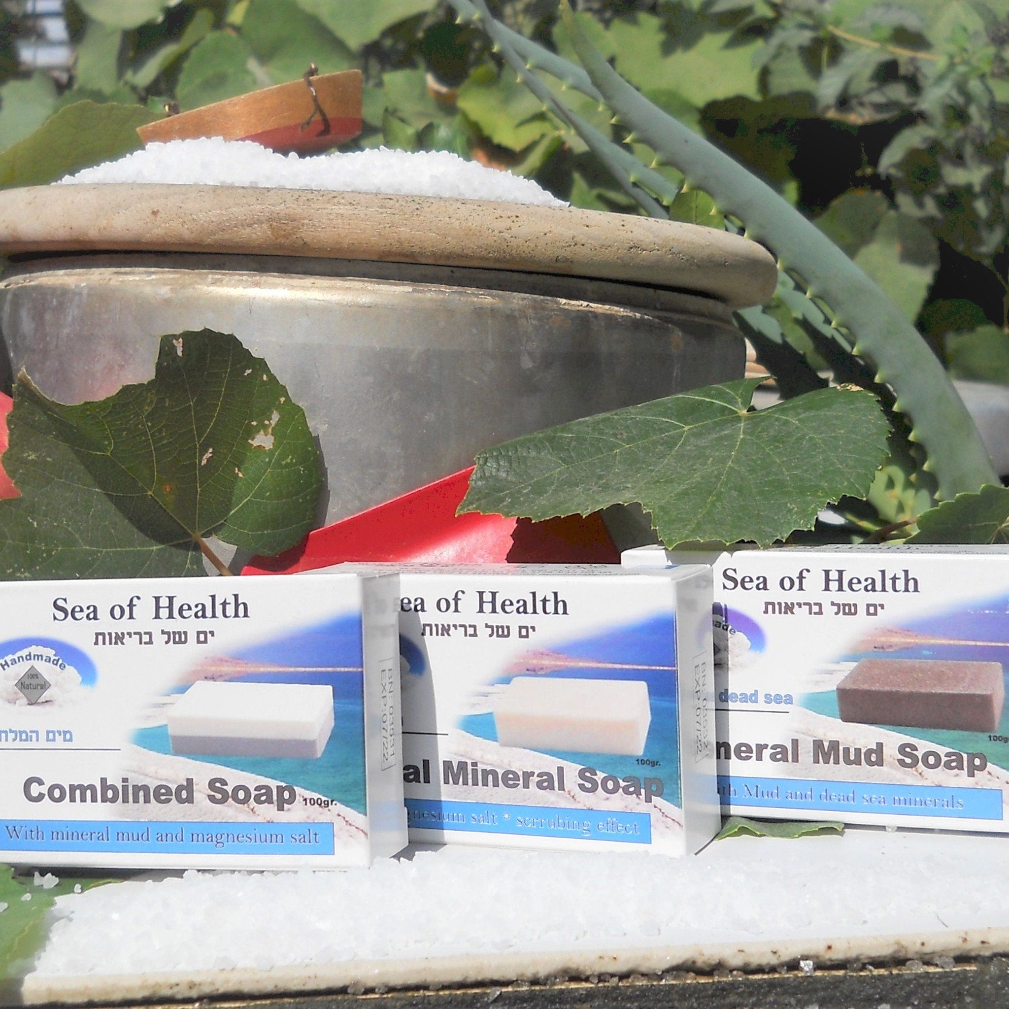 Soap bars in white, brown, and grey with "Sea of Health" packaging, surrounded by greenery and salt