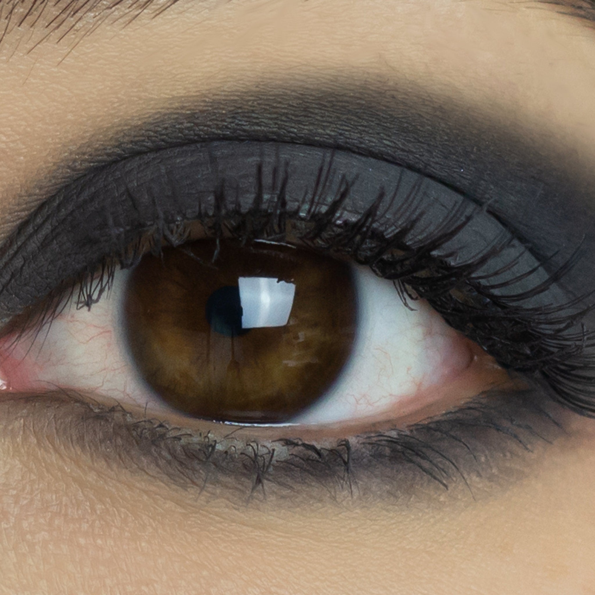 Extreme close-up of matte black vegan eyeshadow pan showing rich pigment and smooth texture