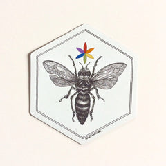 Bee illustration with black and white details, rainbow flower, and hexagonal shape with Fox Farm Apiary text