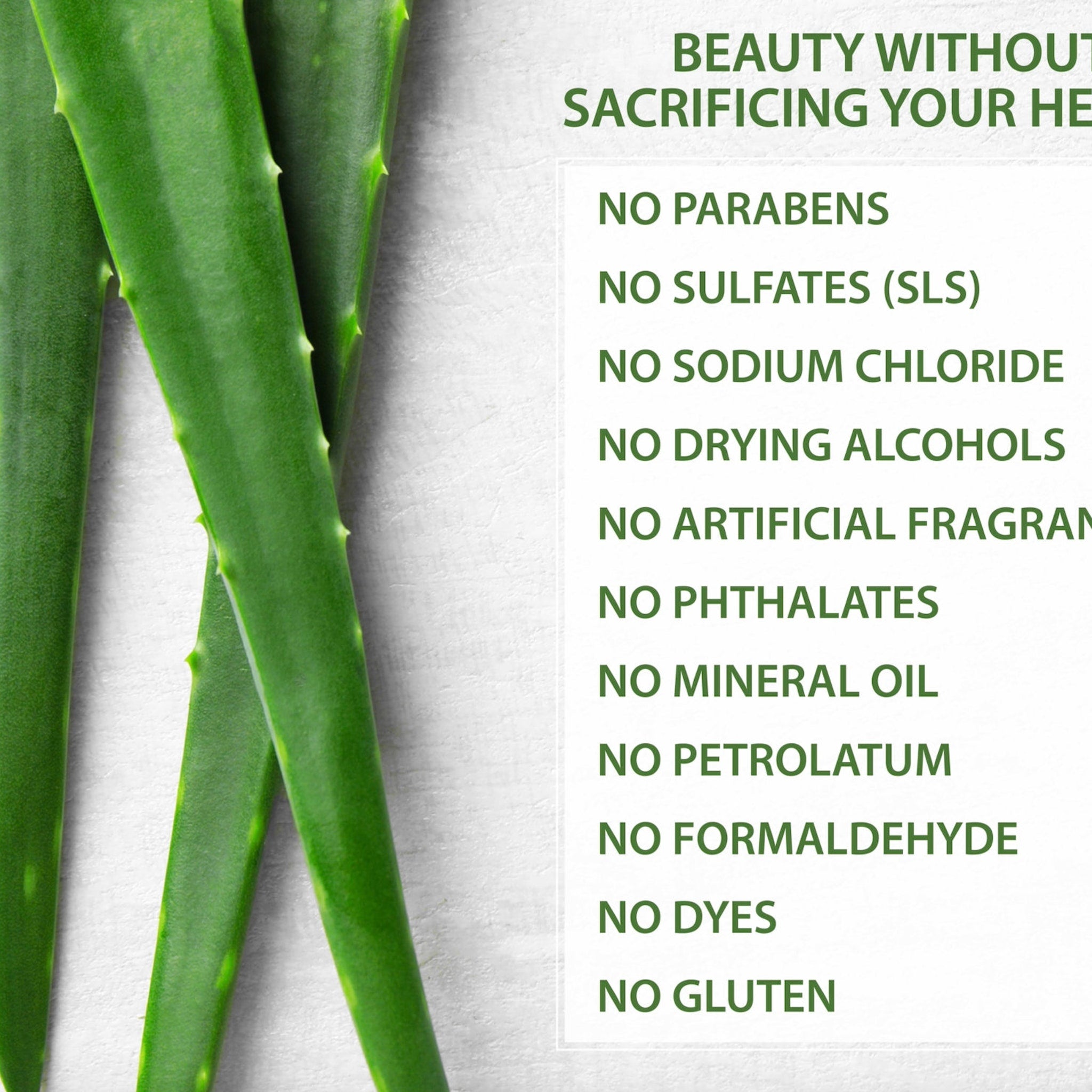 Aloe vera leaves, green with spiky edges, against a white background with text about ingredients