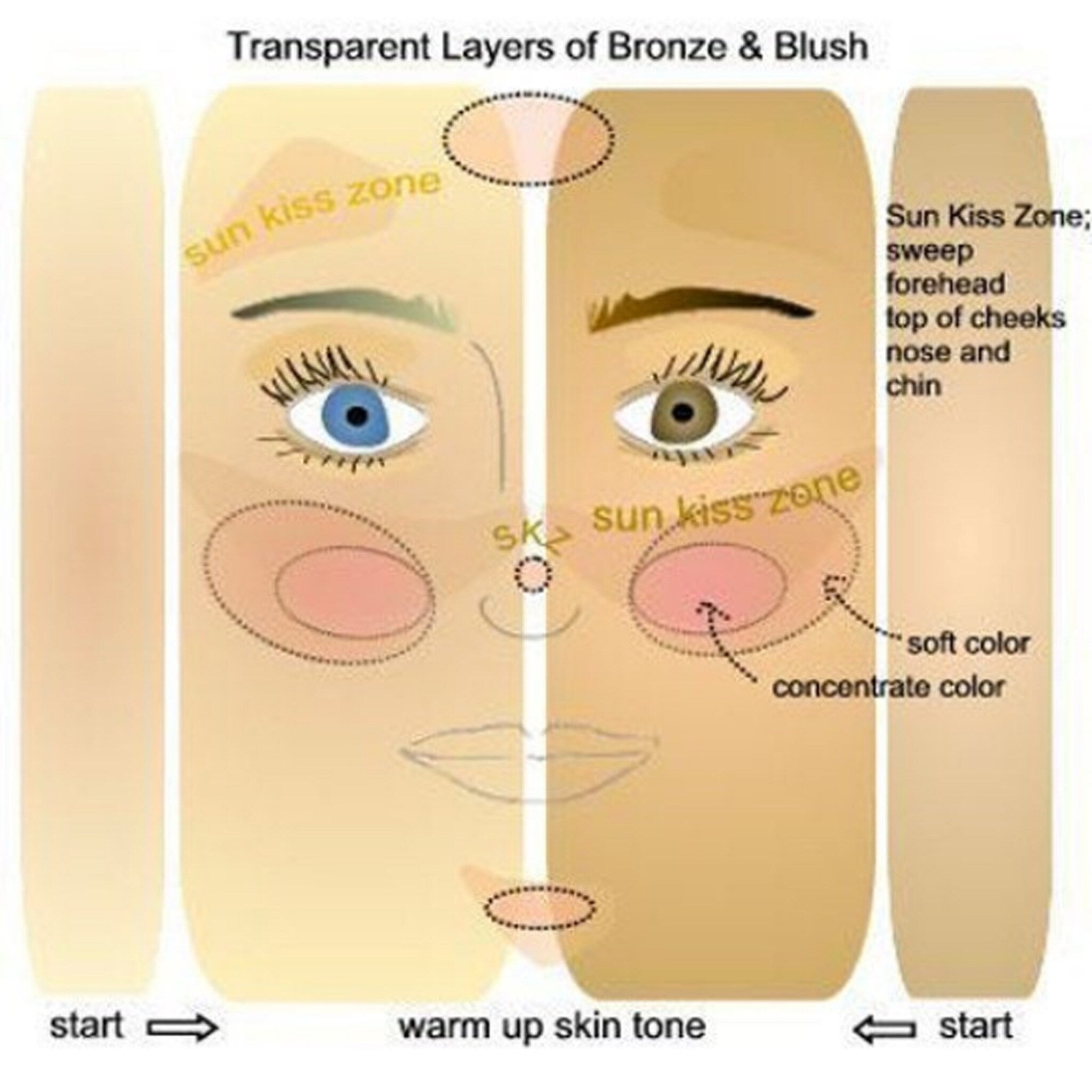 Makeup guide illustration showing bronze and blush layers with dotted outlines, text labels, and arrows indicating application areas