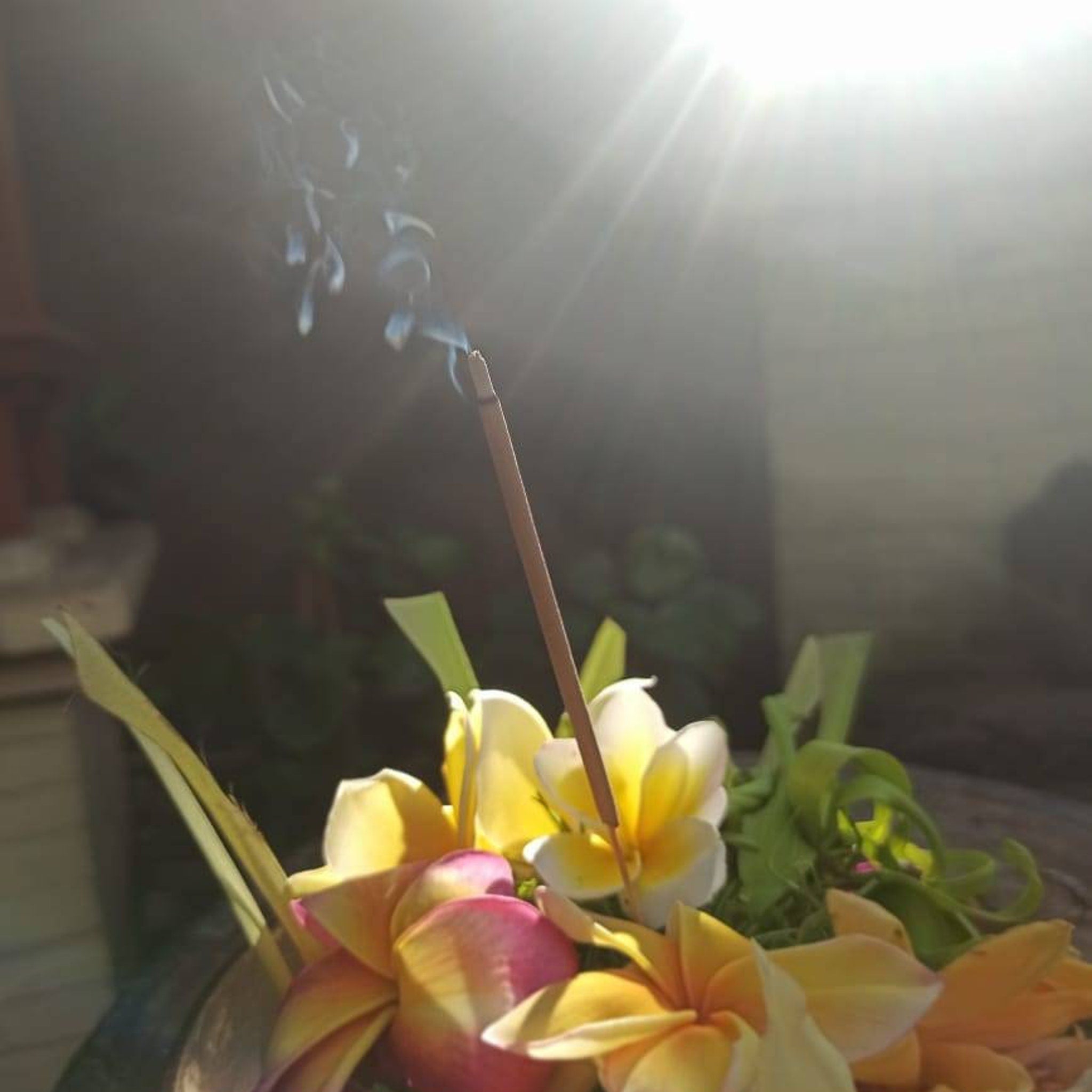 Incense stick brown with smoke over yellow and pink flowers in sunlight