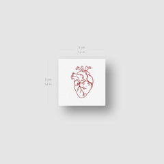 Detailed close-up of Anatomical Heart Temporary Tattoos - Set of 3
