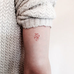 Set of three anatomical heart temporary tattoos with intricate red detailing on clear backing