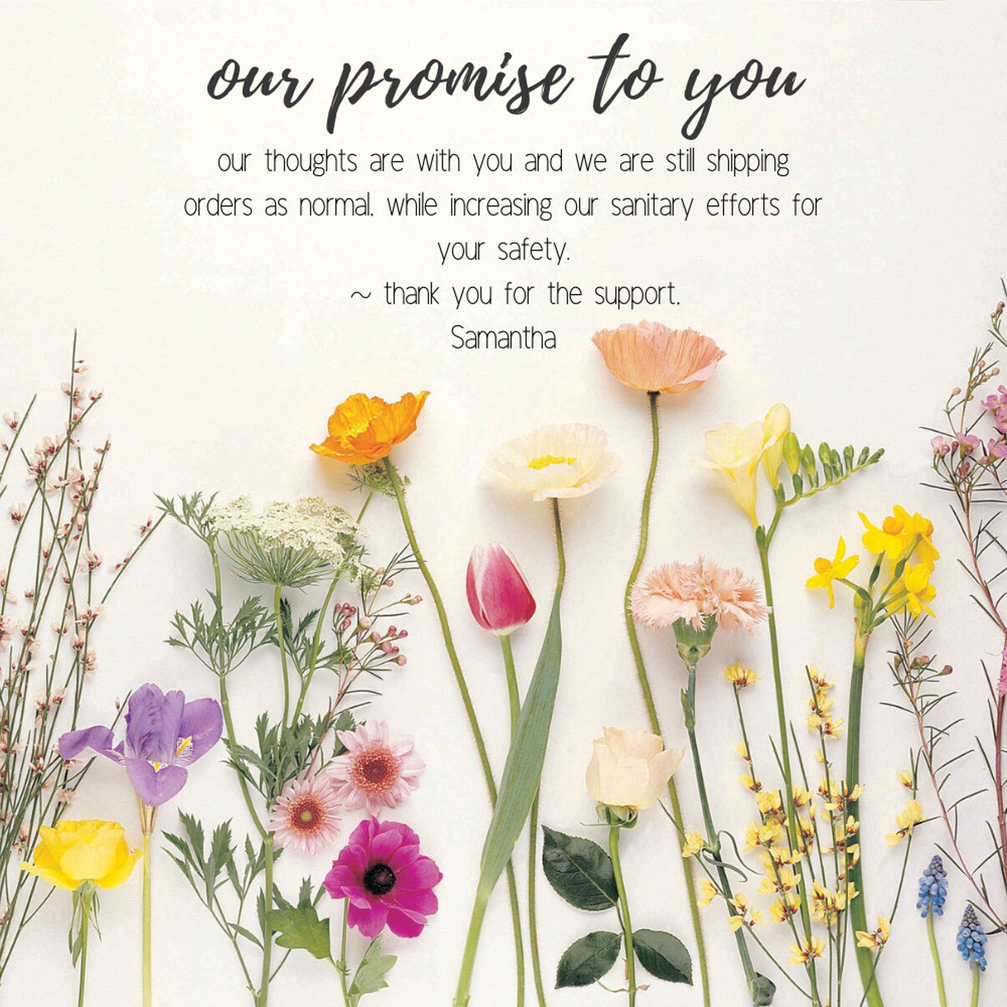 Floral arrangement with colorful flowers, green stems, and white background, for a message of support