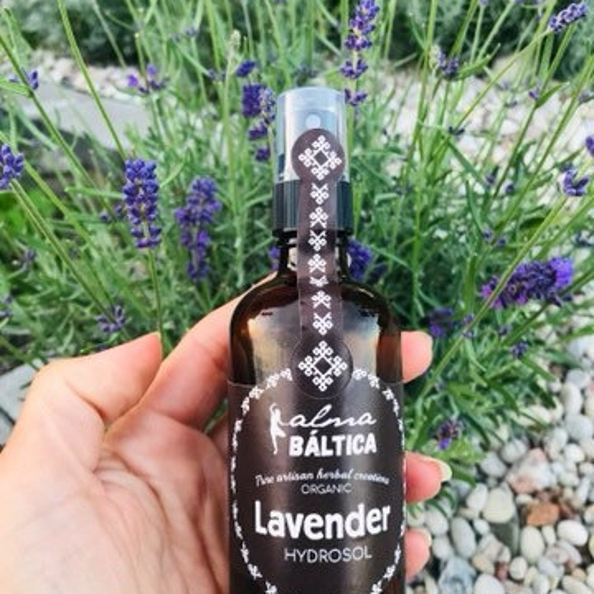 Lavender hydrosol bottle, brown glass, black label, white text, held in hand near purple flowers