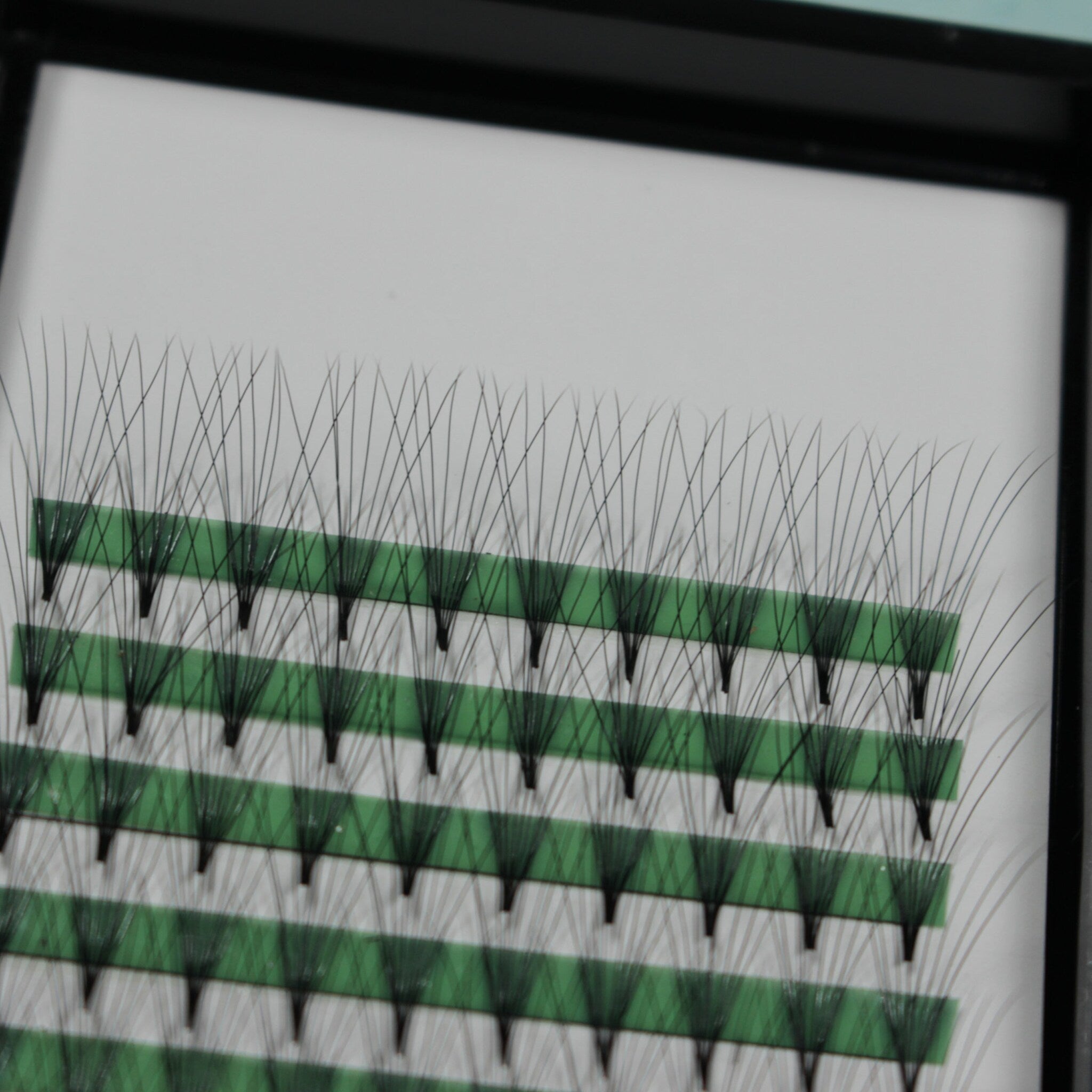 Eyelash clusters with black lashes and green tape, arranged in rows, for application