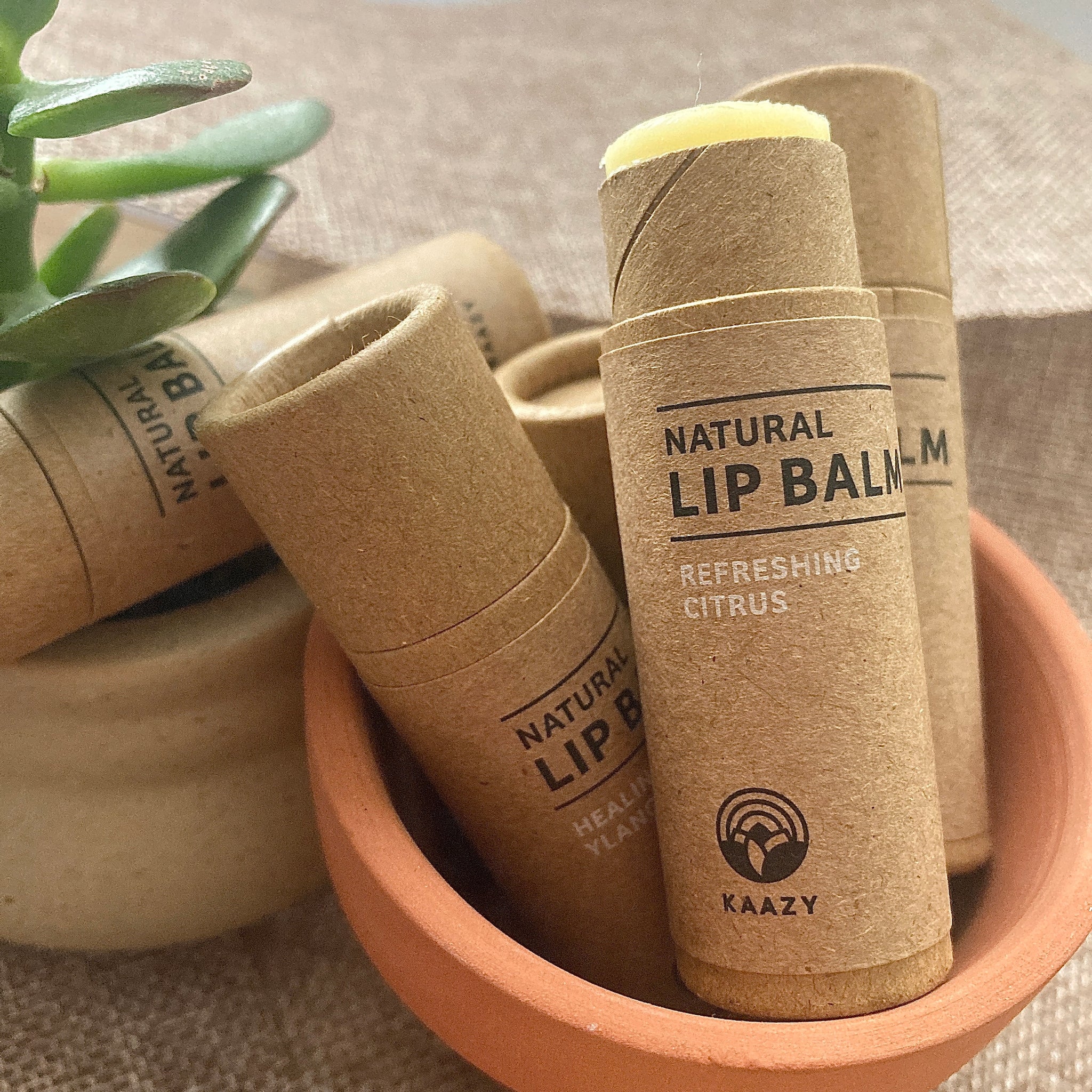 Lip balm tubes in brown paper, with visible text and a terracotta pot