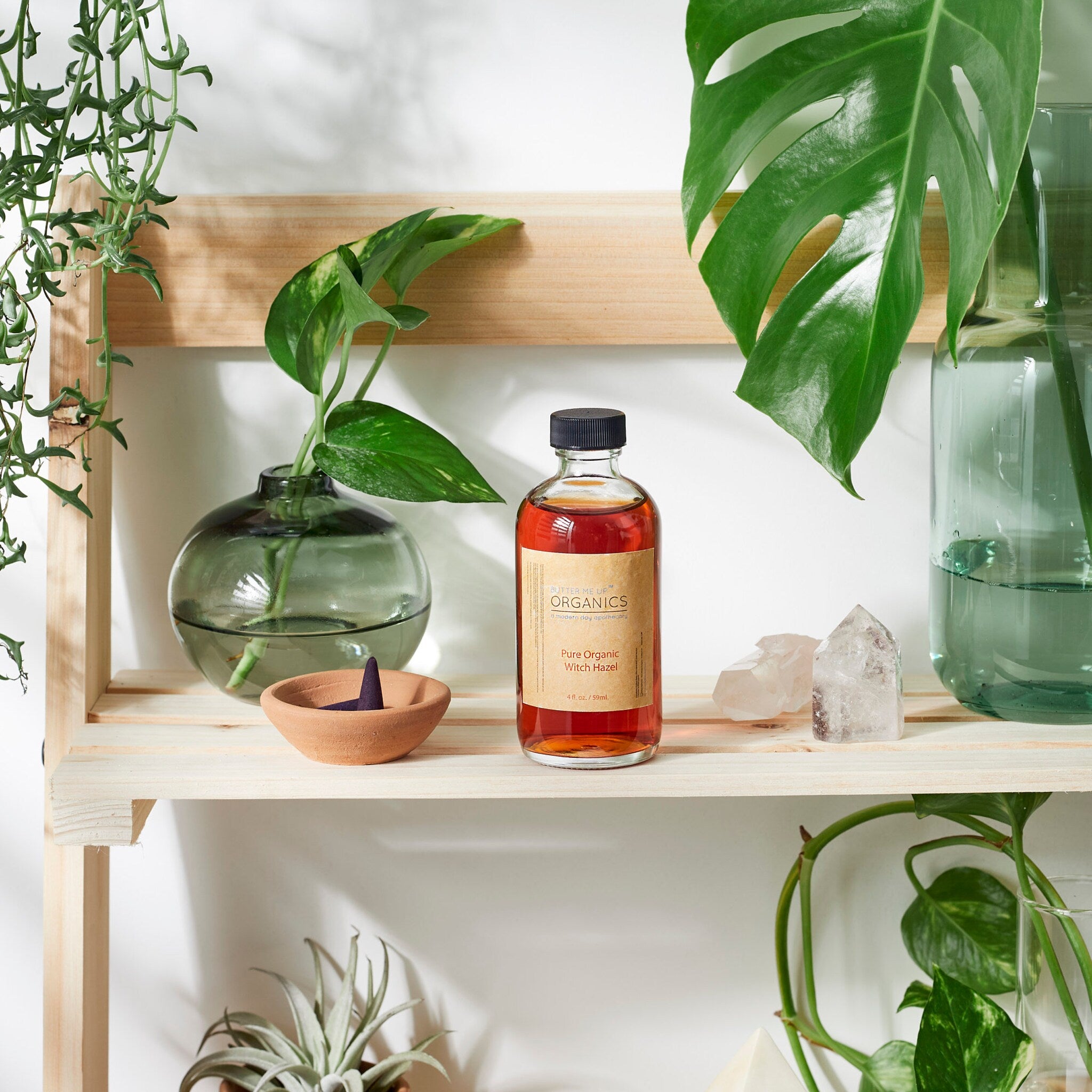 Witch Hazel bottle, amber liquid in glass bottle with label, displayed on wooden shelf with plants