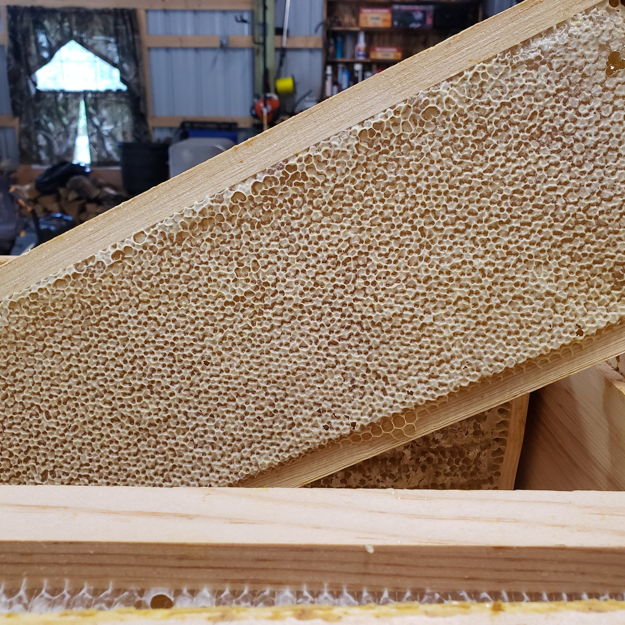 Honeycomb frame with light brown wood, yellow honeycomb cells, and wooden frame construction