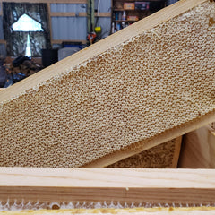 Honeycomb frame with light brown wood, yellow honeycomb cells, and wooden frame construction