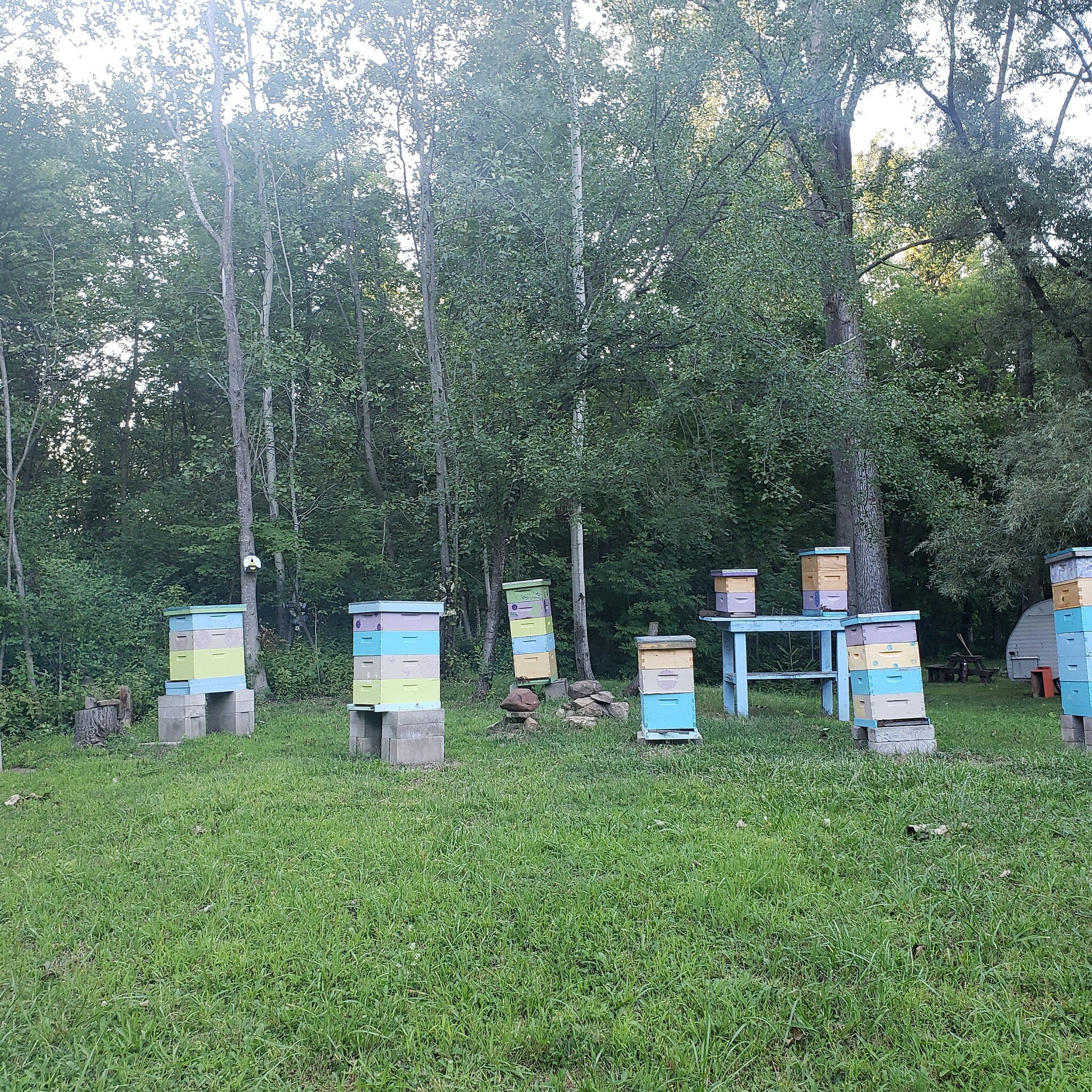Beehives with pastel colors, stacked boxes, and wooden construction in a grassy field