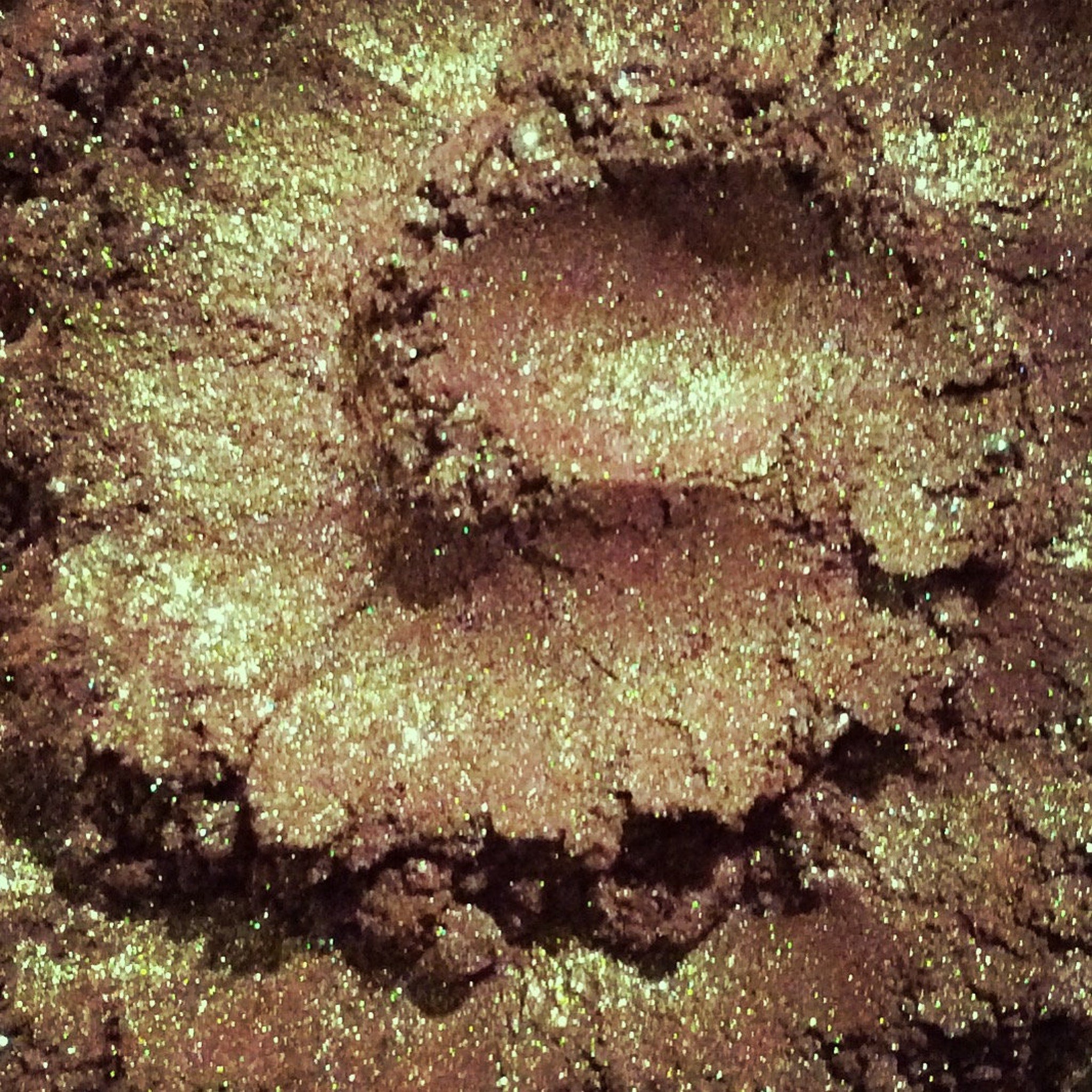 September eyeshadow palette open, showcasing duochrome green-brown shade with vegan burgundy and iridescent shimmer