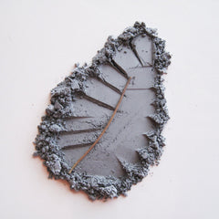 Pure & Natural Ashland Mineral Eye Shadow in a compact with matte finish and earthy neutral tones